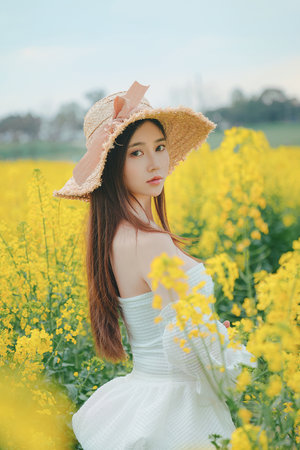 鹅毛笔快播