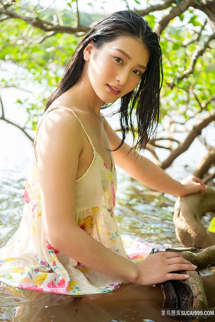山海情全集